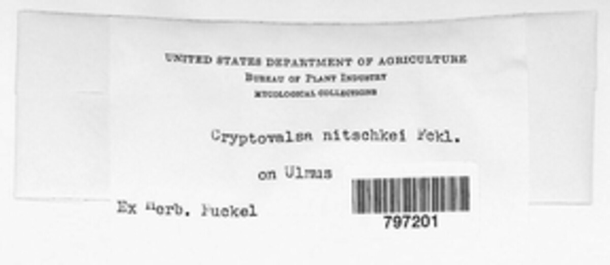 Cryptovalsa image